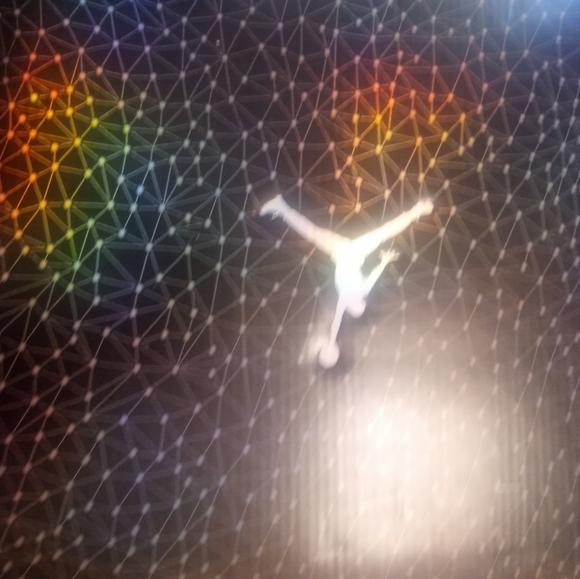 Air Jordan Retro 5 lab3 (elephant print) size 11 - Picture 3 of 4